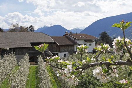 primavera in Trentino