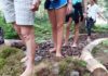 Trentino, nasce il primo percorso park therapy
