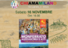 Monferrato, Alessandria e Asti. Guida alla città e al territorio