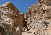 Sela_Giordania_Jordan-Tourism-Board