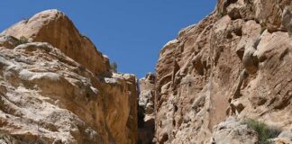 Sela_Giordania_Jordan-Tourism-Board