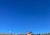 montagna_cane