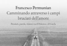 Camminando attraverso i campi bruciati dell’amore. Pensieri, parole, visioni tra il Polesine e il Garda