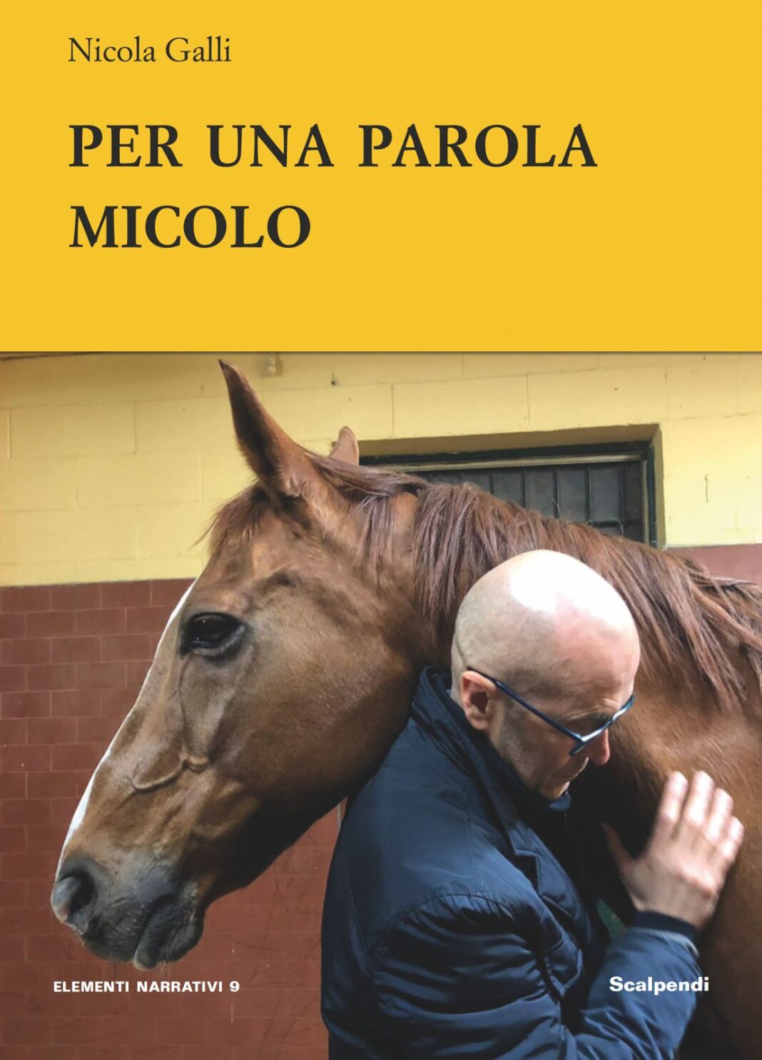 cover per una parola micolo
